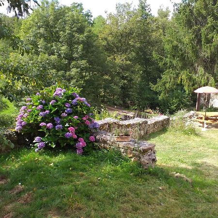 Gite Moulin De Ludieras Busserolles 外观 照片