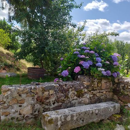 Gite Moulin De Ludieras Busserolles 外观 照片